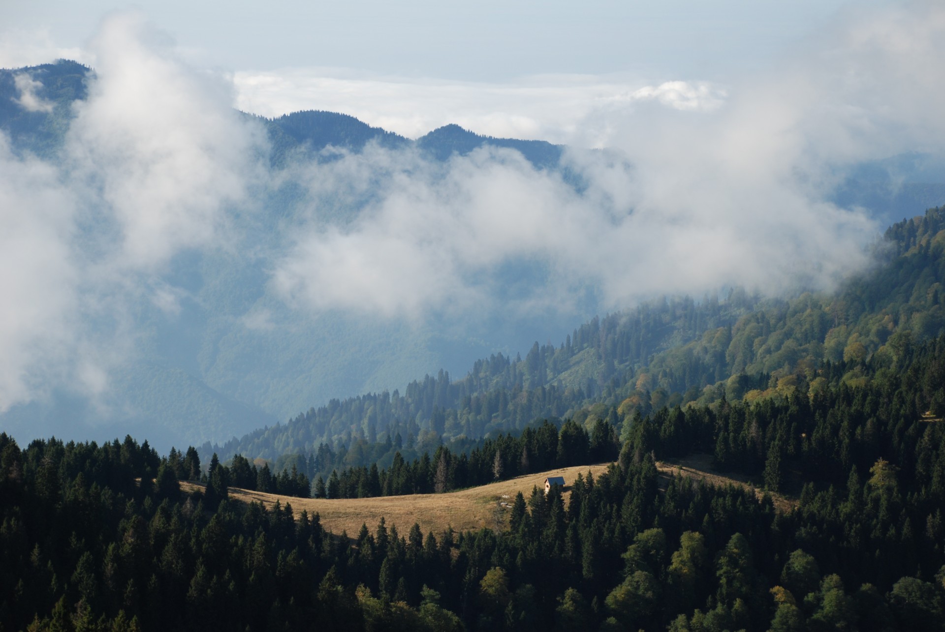 KAÇKARLARDA BULUT OLSAM